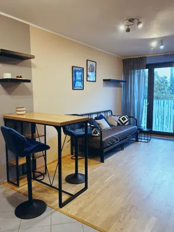 Pronájem bytu 1+kk, Praha - Žižkov, Olšanská, 32 m2