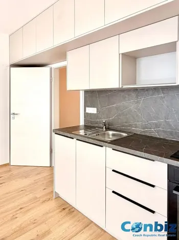 Pronájem bytu 1+kk, Plzeň, Železná, 34 m2