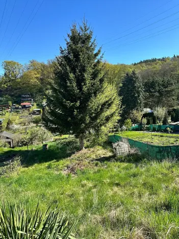 Prodej zahrady, Děčín, Litoměřická, 537 m2