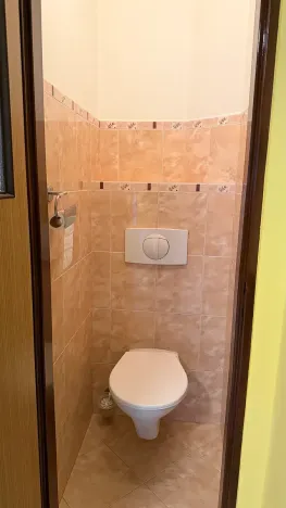 Prodej rodinného domu, Hrušovany nad Jevišovkou, 300 m2