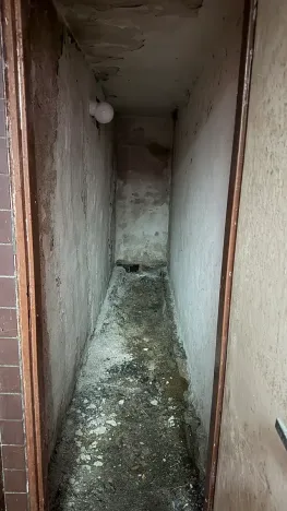 Prodej rodinného domu, Hrušovany nad Jevišovkou, 300 m2