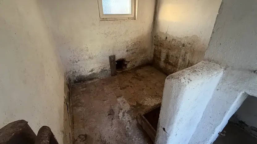 Prodej rodinného domu, Hrušovany nad Jevišovkou, 300 m2