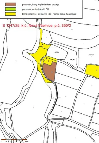 Prodej lesa, Nová Včelnice, 2797 m2