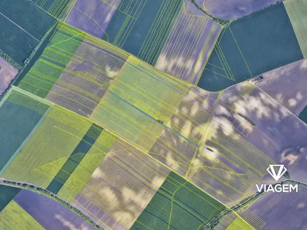 Prodej podílu pole, Šitbořice, 1052 m2