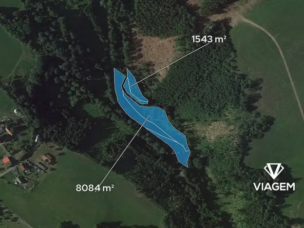 Prodej podílu lesa, Stružinec, 4813 m2