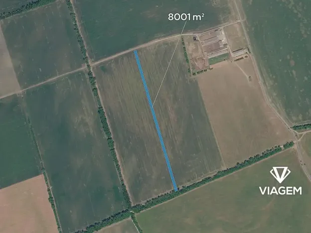 Prodej pole, Nivnice, 8001 m2