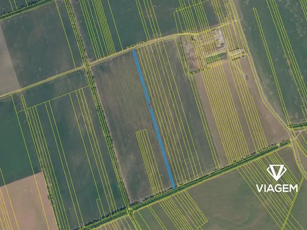 Prodej pole, Nivnice, 8001 m2