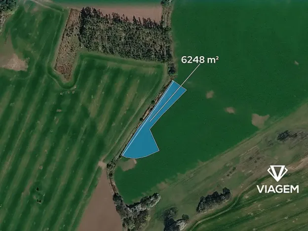 Prodej pole, Živanice, 6248 m2