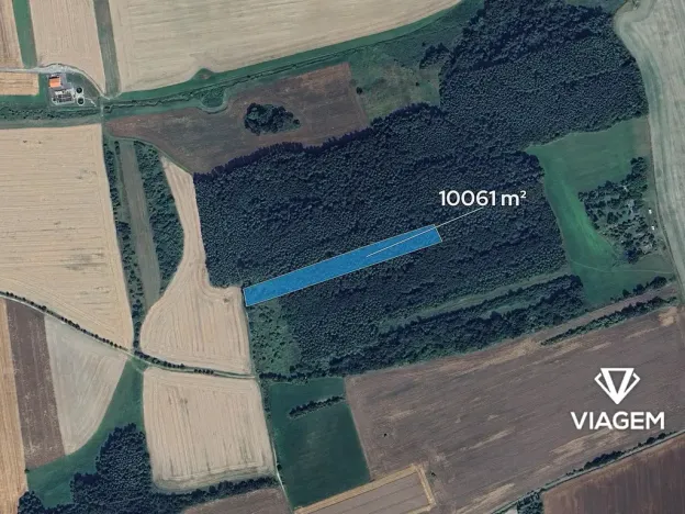 Prodej podílu lesa, Nové Strašecí, 7545 m2
