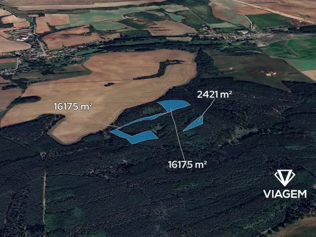 Prodej podílu lesa, Libovice, 2324 m2