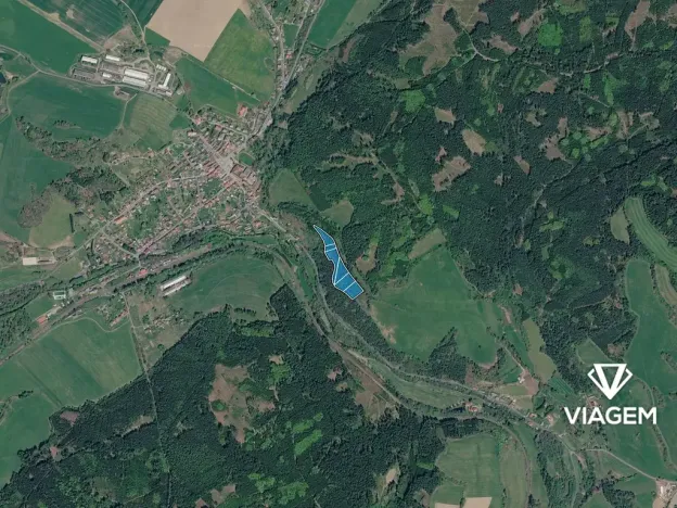 Prodej podílu lesa, Kolinec, 5621 m2