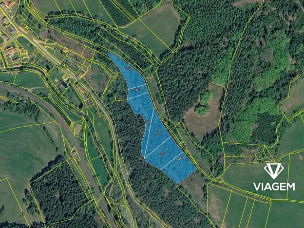 Prodej podílu lesa, Kolinec, 5621 m2
