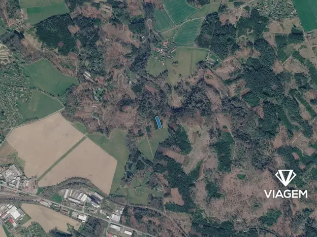 Prodej podílu lesa, Chotěboř, 834 m2