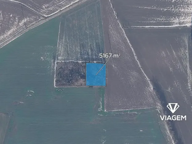 Prodej podílu lesa, Vendolí, 2583 m2