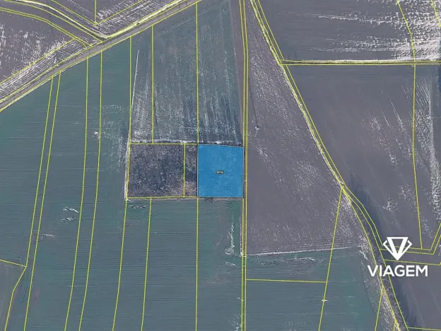 Prodej podílu lesa, Vendolí, 2583 m2