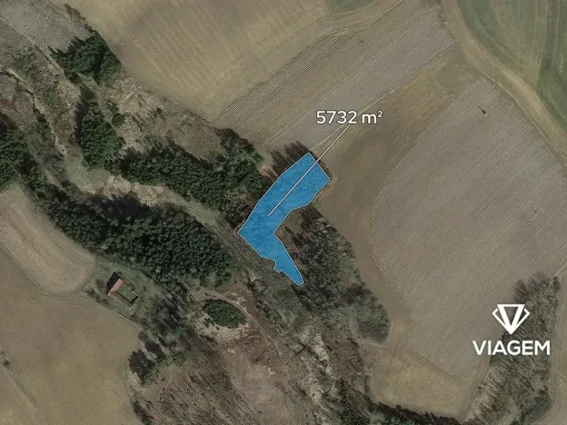 Prodej lesa, Buřenice, 5732 m2