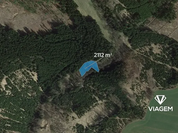 Prodej lesa, Zbizuby, 2112 m2