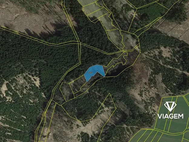 Prodej lesa, Zbizuby, 2112 m2
