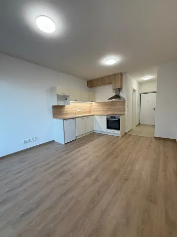 Pronájem bytu 1+kk, Plzeň, Kartónová, 39 m2