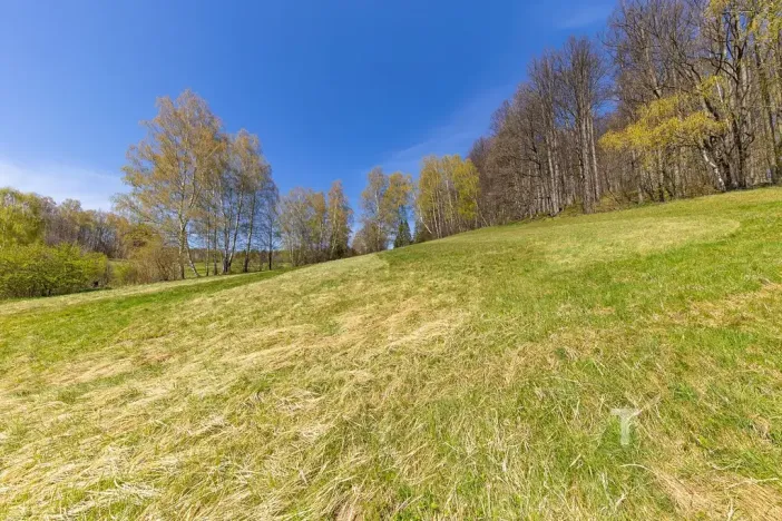 Prodej zahrady, Jeseník, 2608 m2