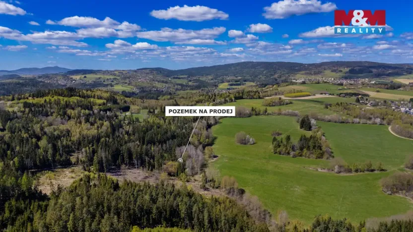 Prodej lesa, Železný Brod, 11203 m2