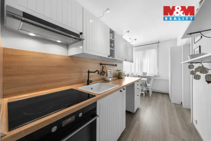 Prodej bytu 2+1, Ústí nad Labem - Krásné Březno, U Pivovarské zahrady, 65 m2