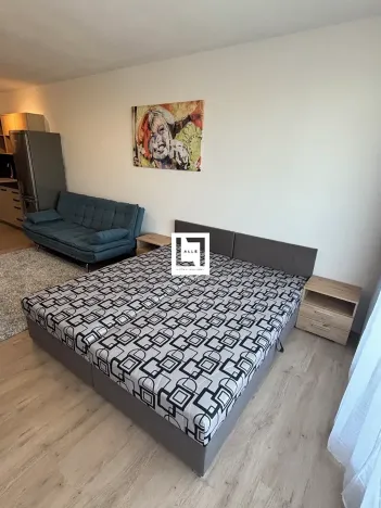 Pronájem bytu 1+kk, Olomouc, Aloise Rašína, 38 m2
