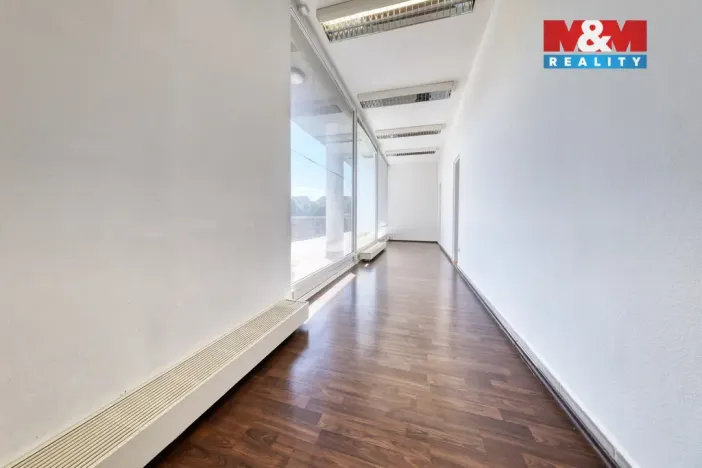 Prodej obchodního prostoru, Písek - Pražské Předměstí, Čechova, 53 m2