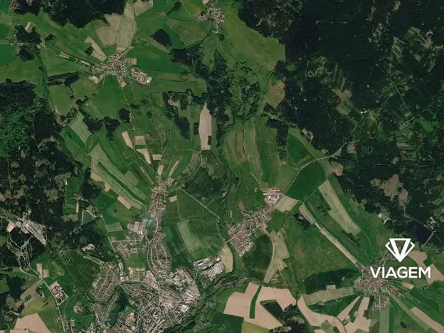Prodej lesa, Nové Město na Moravě, 1693 m2