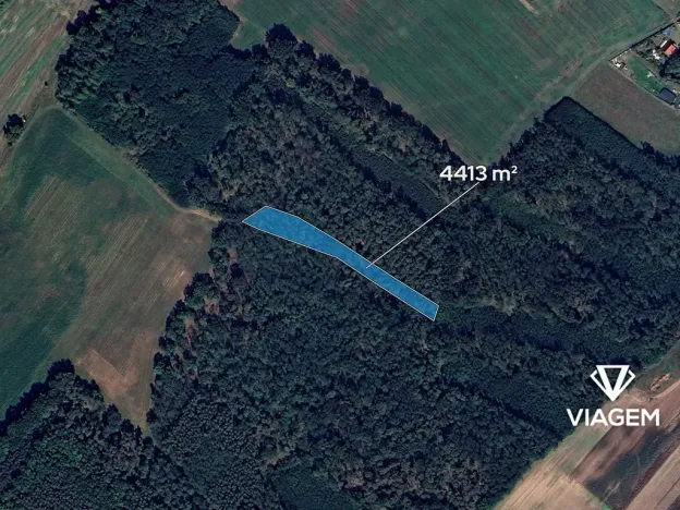 Prodej lesa, Dobříň, 4413 m2