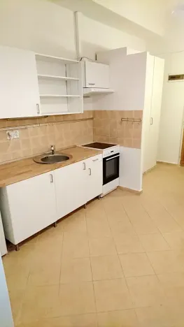 Pronájem bytu 1+1, Praha - Vinohrady, Řipská, 46 m2