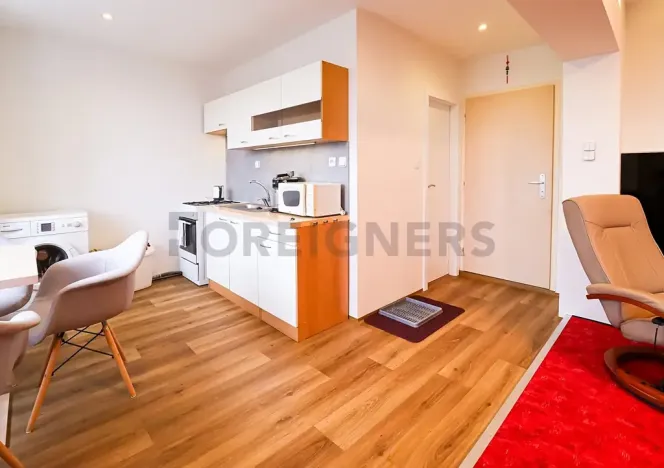 Pronájem bytu 1+kk, Brno, Laštůvkova, 35 m2