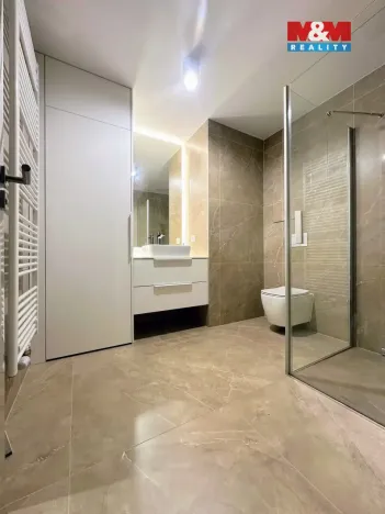 Prodej bytu 2+kk, Ostrava - Moravská Ostrava, F. X. Riepla, 65 m2