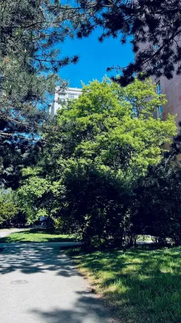 Pronájem bytu 2+kk, Praha - Kobylisy, Taussigova, 48 m2