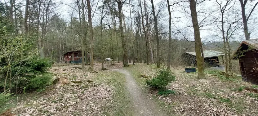 Prodej lesa, Petrov, 23078 m2