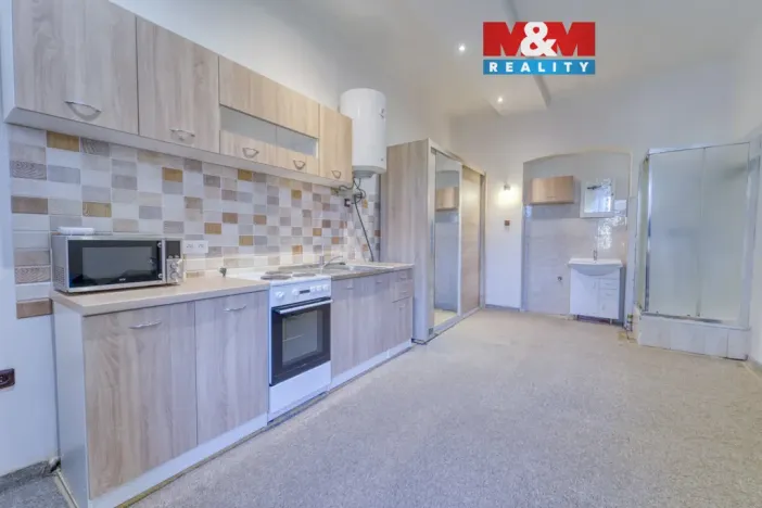 Pronájem bytu 1+kk, Plzeň - Východní Předměstí, Koterovská, 22 m2
