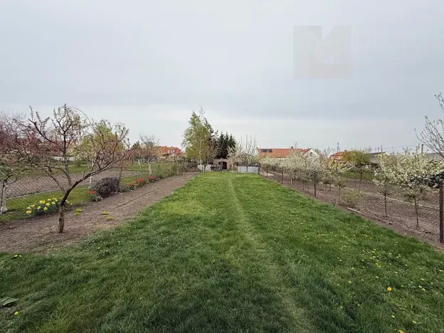 Prodej rodinného domu, Šakvice, Hlavní, 140 m2