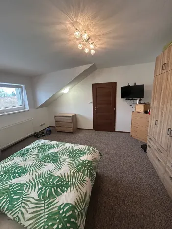 Prodej rodinného domu, Ostopovice, U Kaple, 381 m2