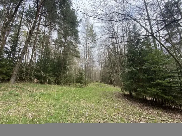 Prodej pozemku, Volfířov - Brandlín, 5958 m2