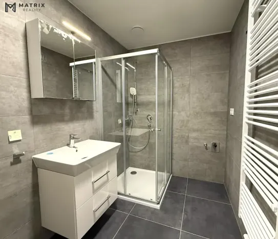 Pronájem bytu 2+1, Praha - Libeň, Zenklova, 64 m2