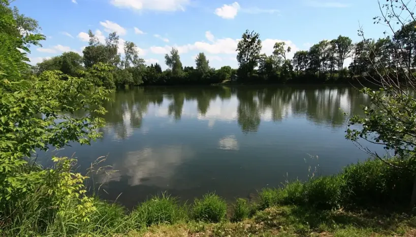 Prodej podílu rybníku, Kroměříž, 4592 m2