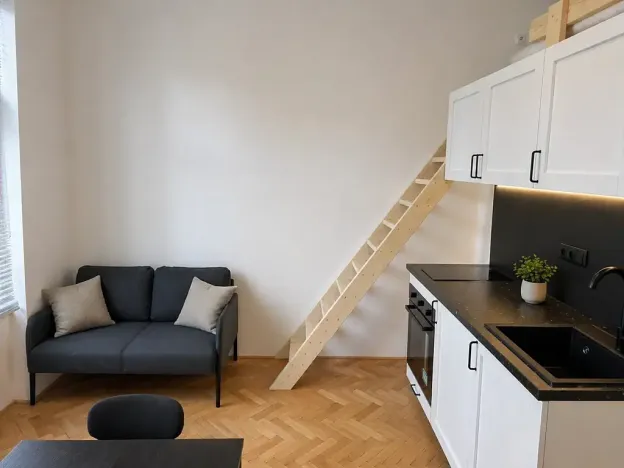 Pronájem bytu 1+kk, Praha - Vinohrady, Velehradská, 25 m2