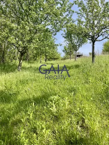 Prodej zahrady, Bzenec, 4488 m2