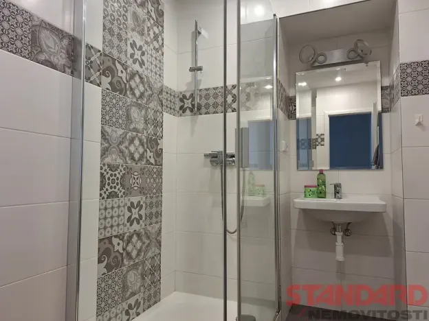 Pronájem bytu 1+1, Plzeň, Solní, 50 m2