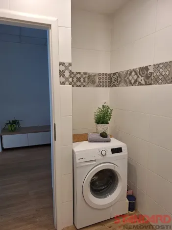 Pronájem bytu 1+1, Plzeň, Solní, 50 m2
