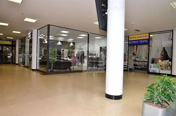 Pronájem restaurace, České Budějovice - České Budějovice 1, nám. Přemysla Otakara II., 96 m2