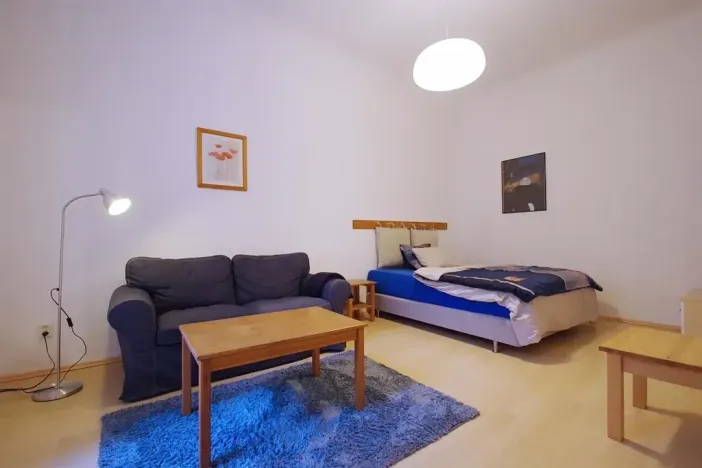 Pronájem bytu 1+1, Praha - Vinohrady, Polská, 45 m2