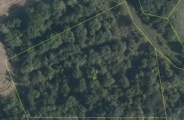 Prodej lesa, Mašťov, 4840 m2