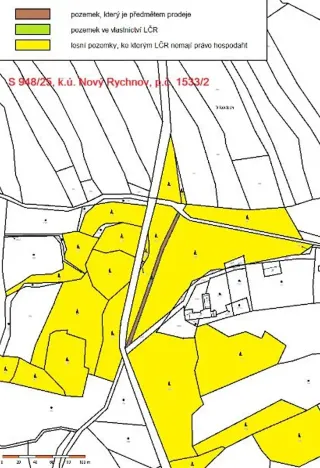 Prodej lesa, Nový Rychnov, 5967 m2