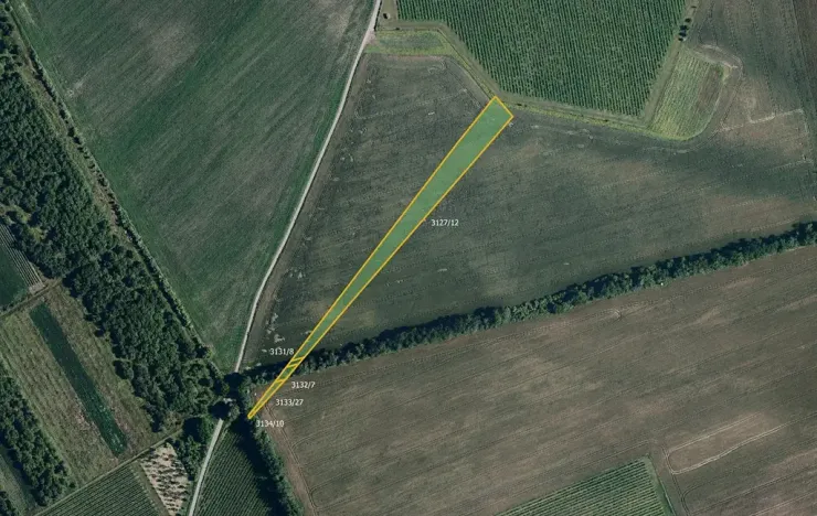 Prodej pole, Nový Poddvorov, 6188 m2